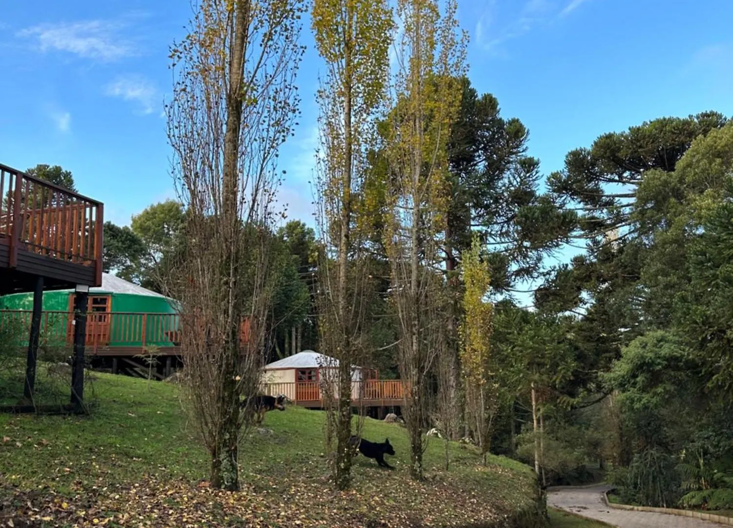 여관 Glamping Montain Experience 호텔 São Joaquim