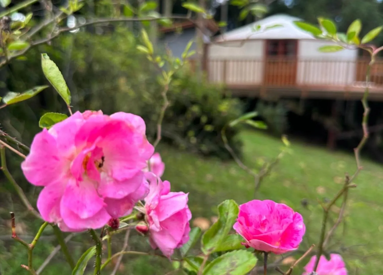 מלון São Joaquim Glamping Montain Experience ברזיל