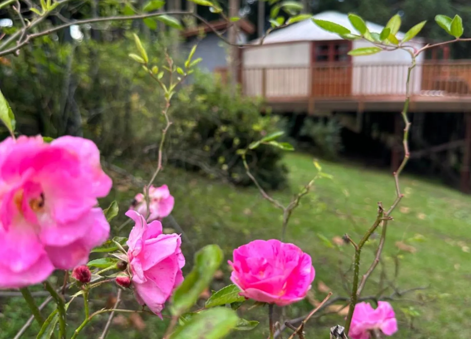 מלון São Joaquim Glamping Montain Experience אורחן