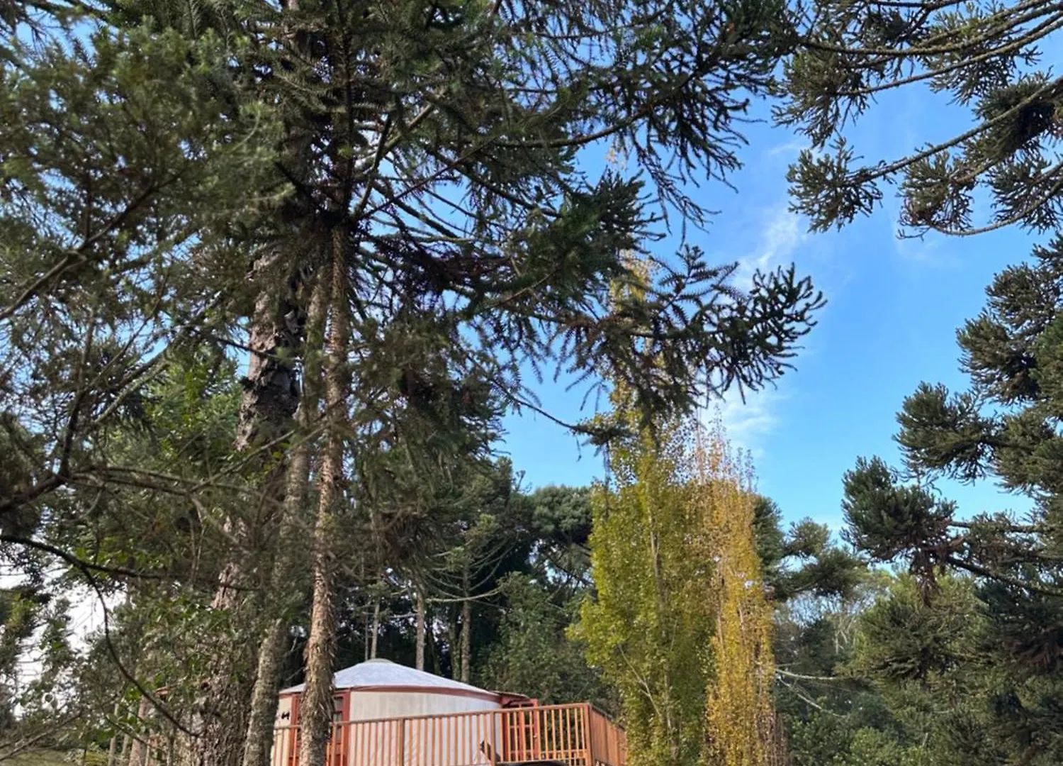 אורחן מלון São Joaquim Glamping Montain Experience ברזיל
