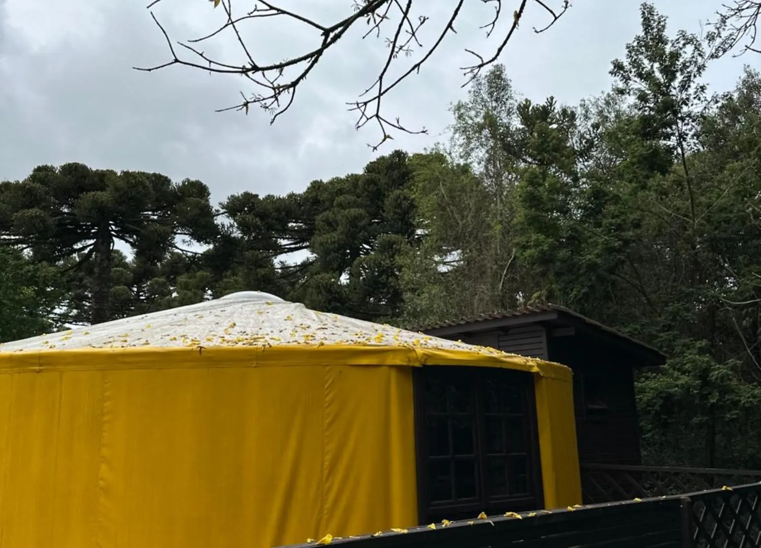 מלון São Joaquim Glamping Montain Experience 0*,  ברזיל