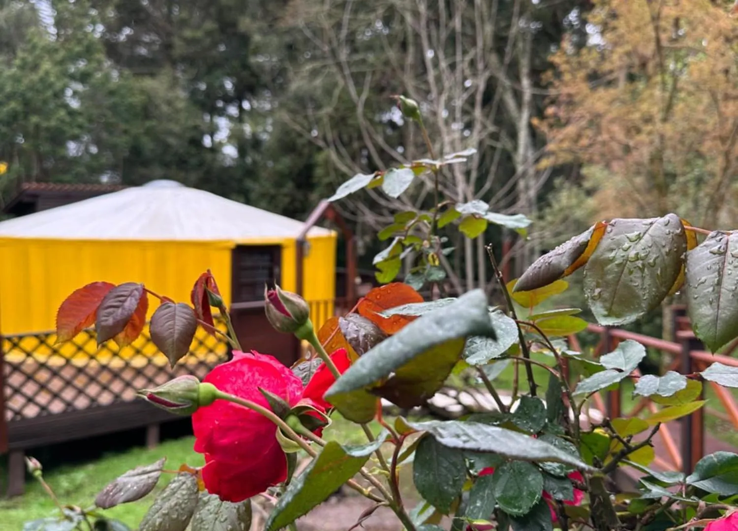 מלון São Joaquim Glamping Montain Experience אורחן