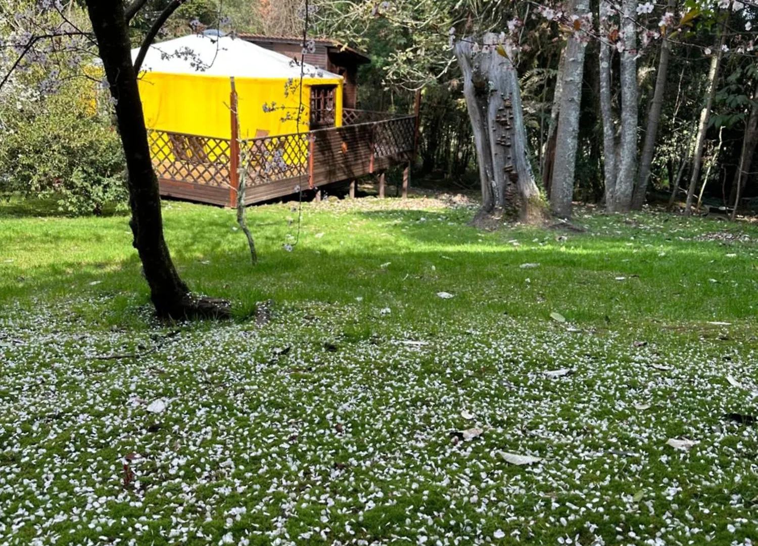 מלון São Joaquim Glamping Montain Experience