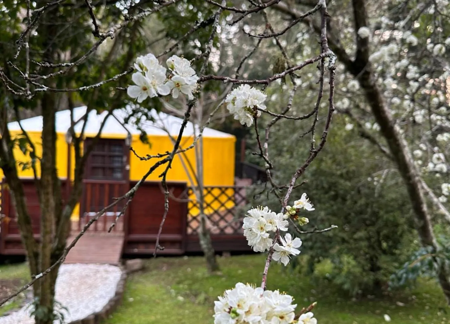 מלון São Joaquim Glamping Montain Experience 0*,