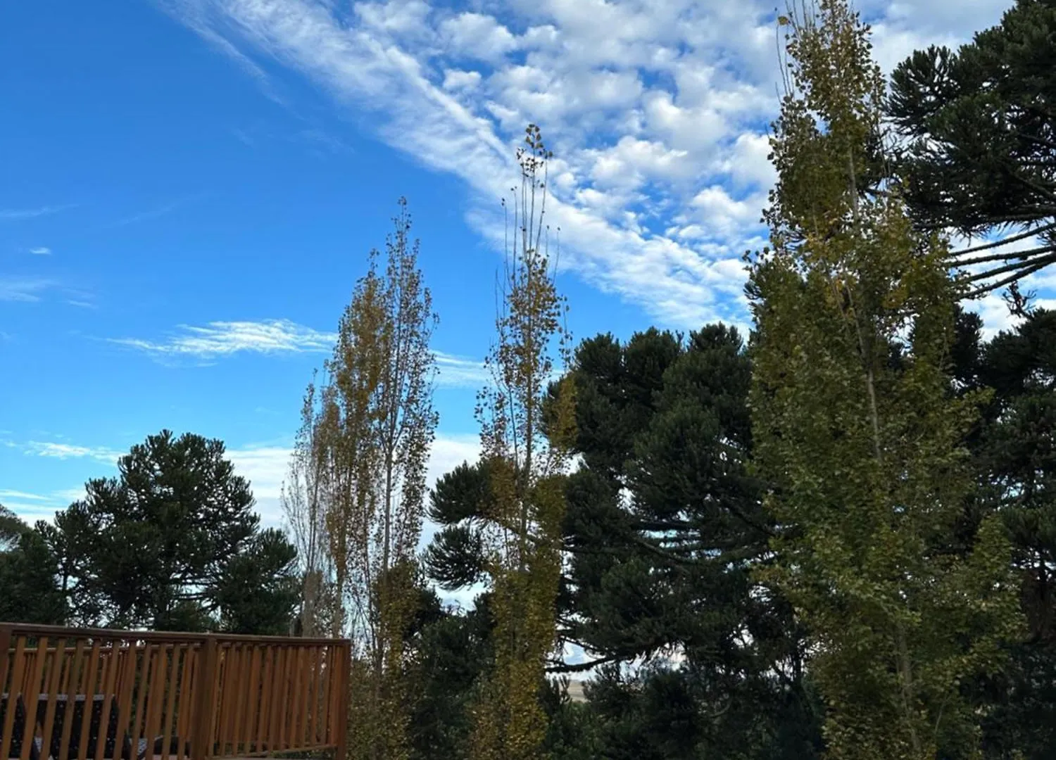 Hotel Glamping Montain Experience São Joaquim Locanda
