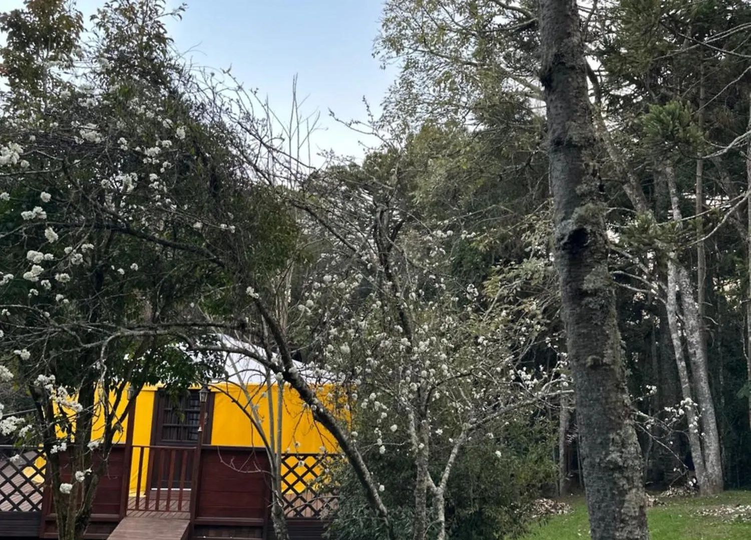 Locanda Hotel Glamping Montain Experience São Joaquim